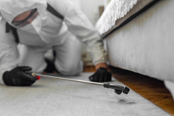 Professional Cockroach Control technician working in Riverside, NY